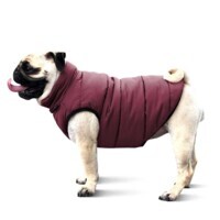 Noble Pet (Нобл Пет) Scotty - Куртка для собак (бордова) (S (27-29 см)) в E-ZOO
