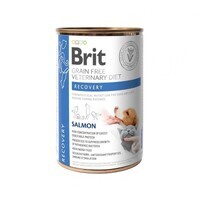 Brit GF Veterinary Diet (Бріт Ветерінарі Дієт) Recovery Dog & Cat - Беззерновой влажный корм с лососем для собак и кошек в период выздоровления (400 г) в E-ZOO