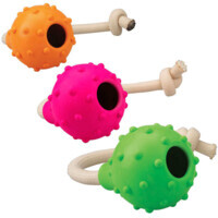 M-Pets (М-Петс) Kale Dog Toys - Игрушка-диспенсер Кале для собак (28х7 см) в E-ZOO