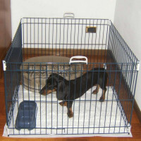 Ferplast (Ферпласт) DOG TRAINING - Загон-манеж для собак мелких пород - Фото 2