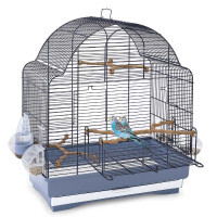 Imac (Аймак) Elisa - Клетка для средних попугаев (50х30х58 см)
