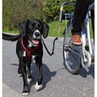 Trixie (Трикси) Biker-Set - Крепление на велосипед для прогулок с собакой (50 см) в E-ZOO