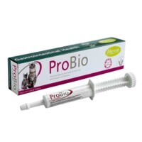 Mervue (Мервью) ProBio Paste Cat - Паста с пробиотиками для поддержания здоровья ЖКТ кошек и котят (15 мл) в E-ZOO