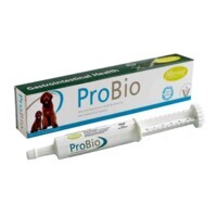 Mervue (Мервью) ProBio Paste Dog - Паста с пробиотиками для поддержания здоровья ЖКТ собак и щенков (60 мл) в E-ZOO