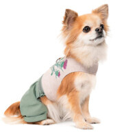 Pet Fashion (Пет Фешн) Patrik - Шлея-костюм Патрик для собак (S (30х14 см)) в E-ZOO фото №7 Pet Fashion (Пет Фешн) Patrik - Шлея-костюм Патрик для собак (S (30х14 см)) в E-ZOO