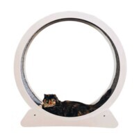 Not only pets (Нот онлі петс) - Бігове колесо для котів (100х22х104 см) в E-ZOO