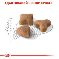 Royal Canin (Роял Канин) Sensible 33 - Сухой корм с птицей для кошек с чувствительной пищеварительной системой - Фото 4