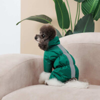 Pet Fashion (Пет Фешн) EGO - Комбінезон Его для собак (ХS (35х20 см)) в E-ZOO фото №4 Pet Fashion (Пет Фешн) EGO - Комбінезон Его для собак (ХS (35х20 см)) в E-ZOO