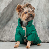 Pet Fashion (Пет Фешн) EGO - Комбінезон Его для собак (ХS (35х20 см)) в E-ZOO фото №5 Pet Fashion (Пет Фешн) EGO - Комбінезон Его для собак (ХS (35х20 см)) в E-ZOO