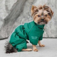 Pet Fashion (Пет Фешн) EGO - Комбінезон Его для собак (ХS (35х20 см)) в E-ZOO фото №6 Pet Fashion (Пет Фешн) EGO - Комбінезон Его для собак (ХS (35х20 см)) в E-ZOO