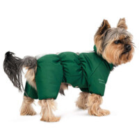 Pet Fashion (Пет Фешн) EGO - Комбінезон Его для собак (ХS (35х20 см)) в E-ZOO фото №3 Pet Fashion (Пет Фешн) EGO - Комбінезон Его для собак (ХS (35х20 см)) в E-ZOO