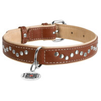 Collar WAUDOG Soft - Нашийник шкіряний з металевими прикрасами і QR паспортом для собак (L (2,5х38-49 см)) в E-ZOO