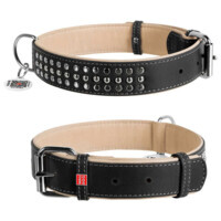 Collar WAUDOG Soft - Нашийник шкіряний з металевим декором і QR паспортом для собак (XL (3,5х46-60 см)) в E-ZOO
