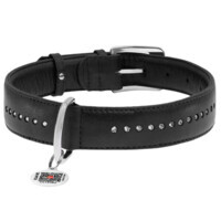 Collar WAUDOG Glamour - Нашийник шкіряний подвійний зі стразами і QR паспортом для собак (S (1,5х27-36 см)) в E-ZOO
