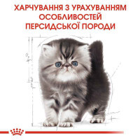 Royal Canin (Роял Канин) Kitten Persian - Сухой корм с птицей для Персидских котят - Фото 2