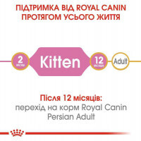 Royal Canin (Роял Канин) Kitten Persian - Сухой корм с птицей для Персидских котят - Фото 8