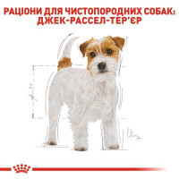 Royal Canin Jack Russell Adult - Сухий корм для собак породи Джек-Рассел тер'єр (1,5 кг) в E-ZOO фото №2 Royal Canin Jack Russell Adult - Сухий корм для собак породи Джек-Рассел тер'єр (1,5 кг) в E-ZOO