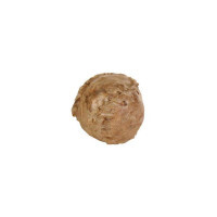 Trixie (Трикси) Мяч жевательный из сыромятной кожи для собак (70 г) в E-ZOO