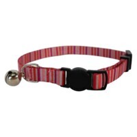 M-Pets Lines Cat Collar - Нашийник з принтом смужки та дзвіночком для котів (20-30 см) в E-ZOO