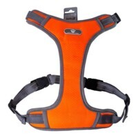 AnimAll Dog Harness - Шлея нейлоновая для собак (оранжевая) (S / 28-48 см) в E-ZOO