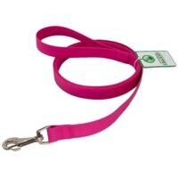 Lucky Pet - Повідець із водонепроникної стрічки для собак (2,5х400 см) в E-ZOO