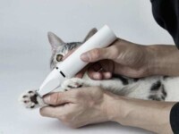 PETKIT 2IN1 Pet Trimmer Pro - Професійний тример 2 в 1 для стрижки тварин (16х3х3 см) в E-ZOO фото №3 PETKIT 2IN1 Pet Trimmer Pro - Професійний тример 2 в 1 для стрижки тварин (16х3х3 см) в E-ZOO