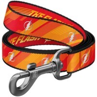 Collar WAUDOG Nylon - Поводок нейлоновый светоотражающий с рисунком "Флэш Лого" для собак (M (2х122 см)) в E-ZOO