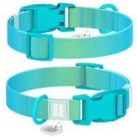 Collar WAUDOG Nylon Recycled - Нашийник нейлоновий градієнт з QR паспортом та пластиковим фастексом для собак (XL (2,5х37-58 см)) в E-ZOO