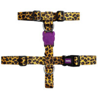 Zee.Dog H-Harness Honey - Шлея з леопардовим принтом для собак (XS / 20-34х23 -37,8 см) в E-ZOO