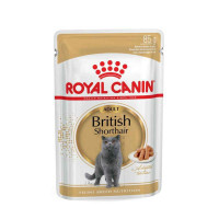 Royal Canin (Роял Канин) British Shorthair Adult - Консервированный корм для взрослых кошек породы Британская короткошерстная (кусочки в подливе) (12х85 г (box)) в E-ZOO