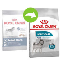 Royal Canin (Роял Канин) Maxi Joint Care - Сухой корм для взрослых собак крупных пород с повышенной чувствительностью суставов - Фото 8