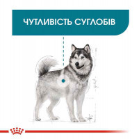 Royal Canin (Роял Канин) Maxi Joint Care - Сухой корм для взрослых собак крупных пород с повышенной чувствительностью суставов - Фото 2