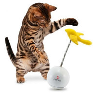 PetSafe (ПетСейф) FroliCat Chatter - Интерактивная игрушка-неваляшка в E-ZOO