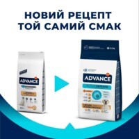 Advance (Эдванс) Dog Labrador&Golden retriever Chicken - Корм с курицей для собак породы лабрадор / ретривер (11,5 кг) в E-ZOO фото №7 Advance (Эдванс) Dog Labrador&Golden retriever Chicken - Корм с курицей для собак породы лабрадор / ретривер (11,5 кг) в E-ZOO