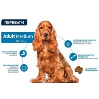 Advance (Эдванс) Dog Adult Medium Chicken - Сухой корм с мясом курицы для взрослых собак средних пород (10 кг) в E-ZOO фото №2 Advance (Эдванс) Dog Adult Medium Chicken - Сухой корм с мясом курицы для взрослых собак средних пород (10 кг) в E-ZOO