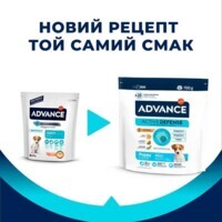 Advance (Эдванс) Dog Mini Puppy Chicken&Rice - Сухой корм с мясом курицы и рисом для щенков малых пород (700 г) в E-ZOO фото №2 Advance (Эдванс) Dog Mini Puppy Chicken&Rice - Сухой корм с мясом курицы и рисом для щенков малых пород (700 г) в E-ZOO