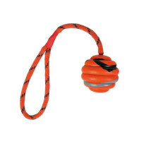 Trixie (Трикси) Мяч ребристый на веревке (30 см/Ø6 см) в E-ZOO