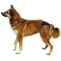 Trixie (Трикси) Protective Pants - Трусы гигиенические защитные для собак, черные (20-25 см) в E-ZOO