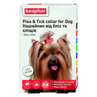 Beaphar (Беафар) Flea&Tick Collar for Dogs - Ошейник от блох и клещей для собак (цветной) (65 см Sale2!) в E-ZOO