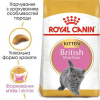 Royal Canin (Роял Канин) Kitten British Shorthair - Сухой корм с птицей для Британских короткошерстных котят - Фото 3