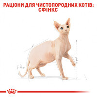 Royal Canin (Роял Канин) Sphynx Adult - Сухой корм с птицей для взрослых кошек породы Сфинкс - Фото 3