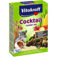 Vitakraft (Вітакрафт) Cocktail - Суміш для гризунів з горобиною, овочами і шипшиною (50 г) в E-ZOO