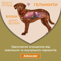 Advocate (Адвокат) by Bayer Animal - Противопаразитарные капли для собак от блох, вшей, клещей, гельминтов (1 пипетка) - Фото 2