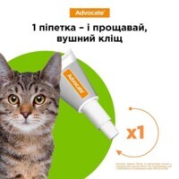 Advocate (Адвокат) by Elanco Animal - Противопаразитарные капли для собак от блох, вшей, клещей, гельминтов (1 пипетка) (< 4 кг) в E-ZOO фото №5 Advocate (Адвокат) by Elanco Animal - Противопаразитарные капли для собак от блох, вшей, клещей, гельминтов (1 пипетка) (< 4 кг) в E-ZOO