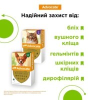 Advocate (Адвокат) by Elanco Animal - Противопаразитарные капли для собак от блох, вшей, клещей, гельминтов (1 пипетка) (< 4 кг) в E-ZOO фото №7 Advocate (Адвокат) by Elanco Animal - Противопаразитарные капли для собак от блох, вшей, клещей, гельминтов (1 пипетка) (< 4 кг) в E-ZOO