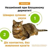 Advocate (Адвокат) by Elanco Animal - Противопаразитарные капли для собак от блох, вшей, клещей, гельминтов (1 пипетка) (< 4 кг) в E-ZOO фото №8 Advocate (Адвокат) by Elanco Animal - Противопаразитарные капли для собак от блох, вшей, клещей, гельминтов (1 пипетка) (< 4 кг) в E-ZOO