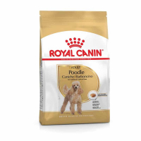 Royal Canin (Роял Канин) Poodle Adult - Сухой корм с мясом птицы для взрослых собак породы Пудель