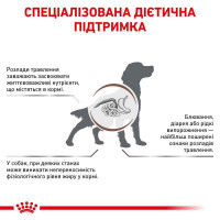 Royal Canin (Роял Канин) Gastrointestinal Low Fat Dog - Ветеринарная диета с пониженной жирностью для взрослых собак при нарушениях пищеварения - Фото 4