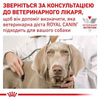 Royal Canin (Роял Канин) Urinary S/O Dog - Сухой корм для собак при заболеваниях нижних мочевыводящих путей - Фото 9