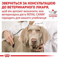 Royal Canin (Роял Канин) Recovery - Ветеринарная диета для собак и котов в период восстановления после анорексии (паштет) - Фото 6